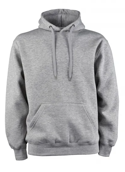 Sweat à Capuche Femme Gris Premium TEE JAYS | Tenues Pro